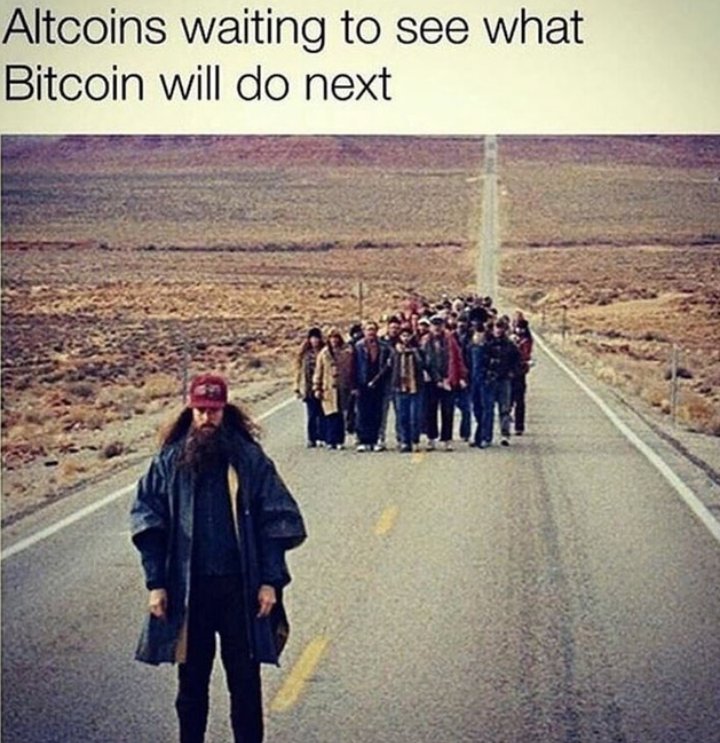 Rise, Bitcoin rise.

#cryptomemes #bitcoin