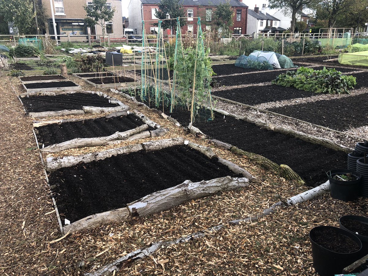 whatsonplot27's tweet photo. Been getting the #plot27 winter ready, beds planted. Onions/Garlic/cut flower bulbs all in. Flower beds mulched. Still a third of the plot to complete though. #allotment #gyo https://t.co/u3VcYQZ9EN