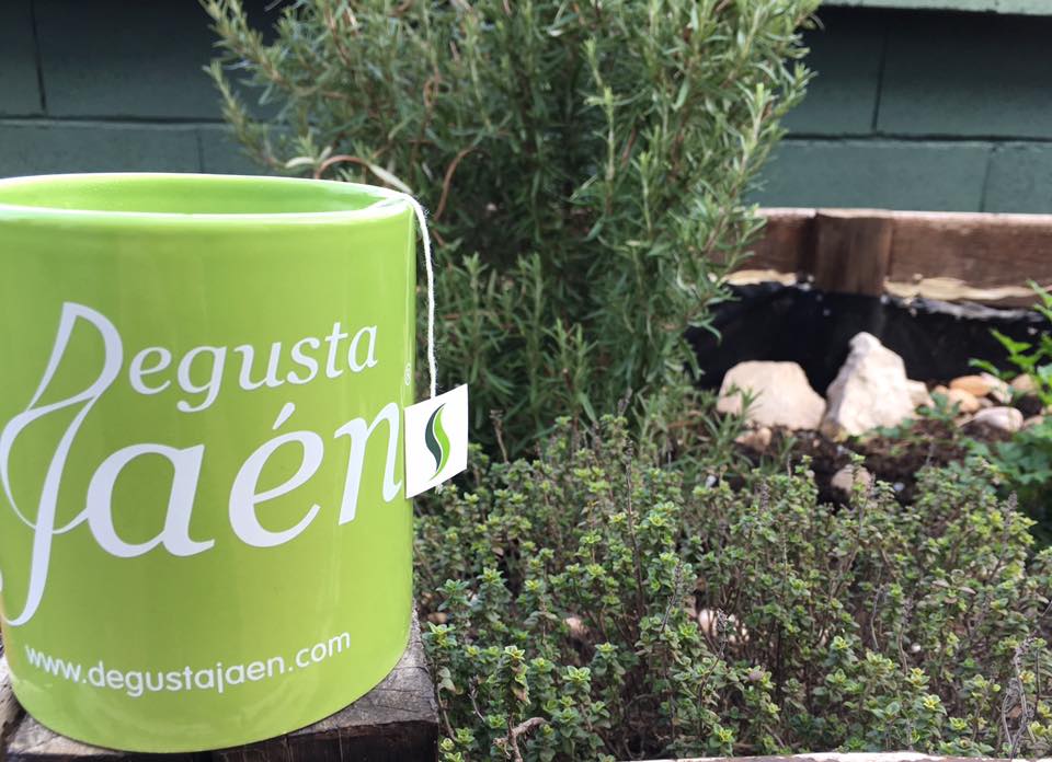 SteviaCondado's tweet photo. ¿Frío? ¡Qué frío! Un Té Frutas del Bosque BIO de @SteviaCondado. Una solución sana y agradable para combatir estas temperaturas.
@DegustaJaen #SteviadelCondado #Frio #TeFrutasdelBosqueBIO #Placeres #DegustaJaen #EdulcoranteNatural https://t.co/1nlxhKP32d