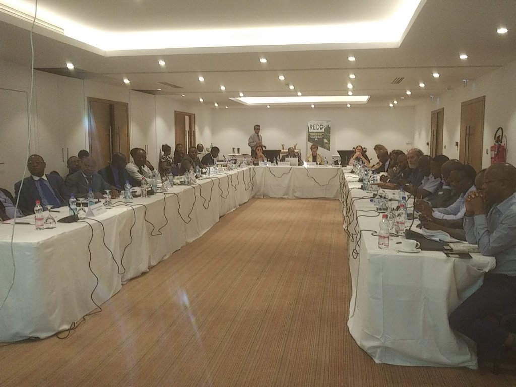 REDDBluethroat's tweet photo. Réunion #intersectorielle
Revue #annuelle @CAFISecretariat et #RDC les #jalons sur les moteurs de la #déforestation sont discutés par tous les acteurs https://t.co/dv26CRgQjw