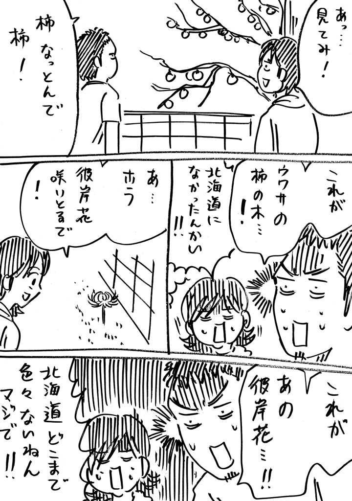 北海道と本州の植生や食べ物などの違いに驚くみなさん 金木犀の香りを嗅いでみたい これが噂のソフトカツゲン などと盛り上がる Togetter