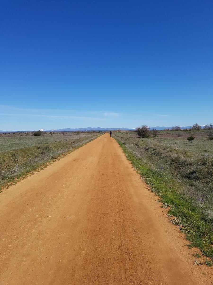 Jeder spricht vom #Jakobsweg 🙏 🙏.... Aber was macht diesen Weg so BESONDERS? Ich wünsche dir liebe <a href="/Elvisrada/">elvis rada</a> viel Spaß auf deinem #Camino und bin stolz, dass mein #Blog dich auch dazu ermutigt hat diesen Weg heute zu starten 👣👣 #ArabellaFamilie buff.ly/2zyREau
