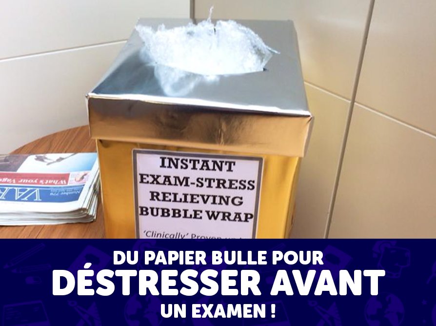 ✨ Edukapi ✨ tweet media