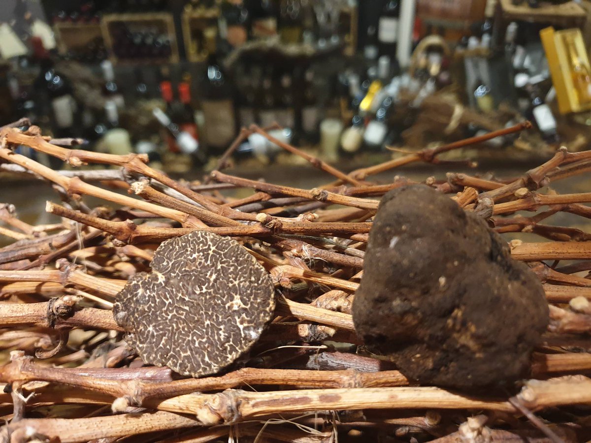 mlgbocanegra's tweet photo. Complementamos nuestra oferta de temporada con trufa "Tuber Melanosporum" de nuestros bosques de Soria https://t.co/OxapdOWH68