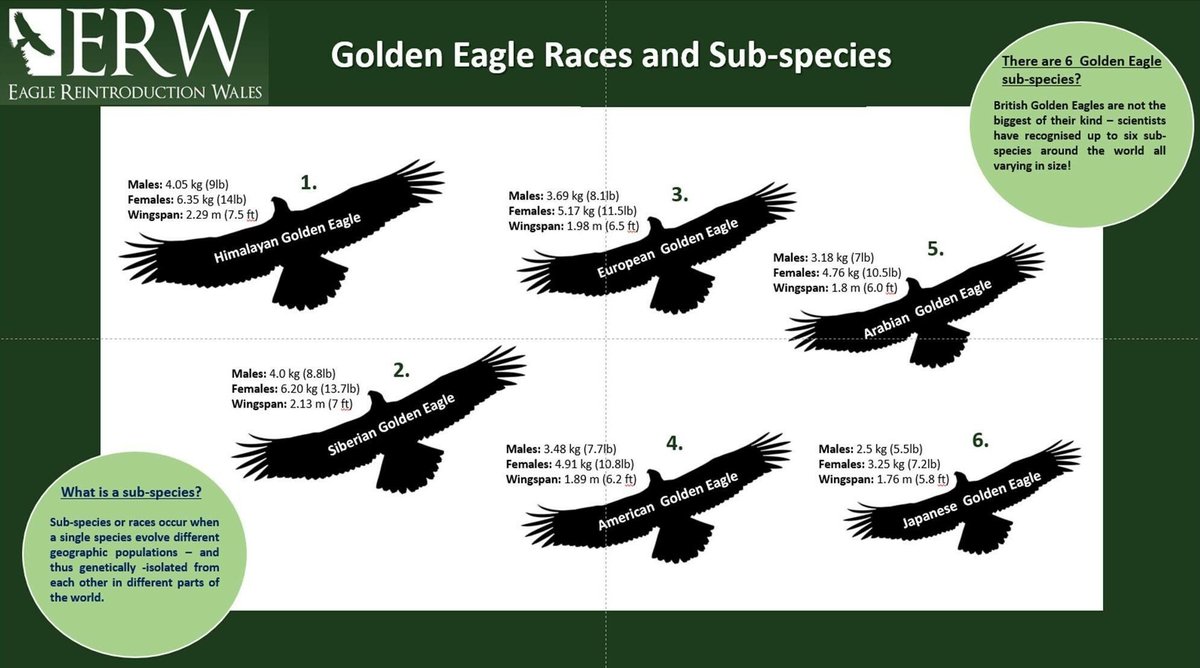 Wildwednesdayfact Hashtag On Twitter