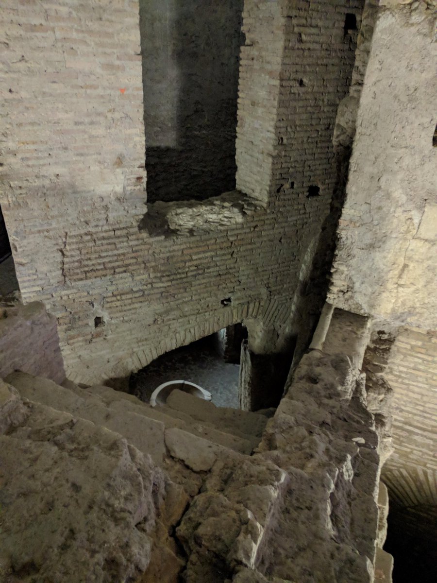 M. Bianco tweet media