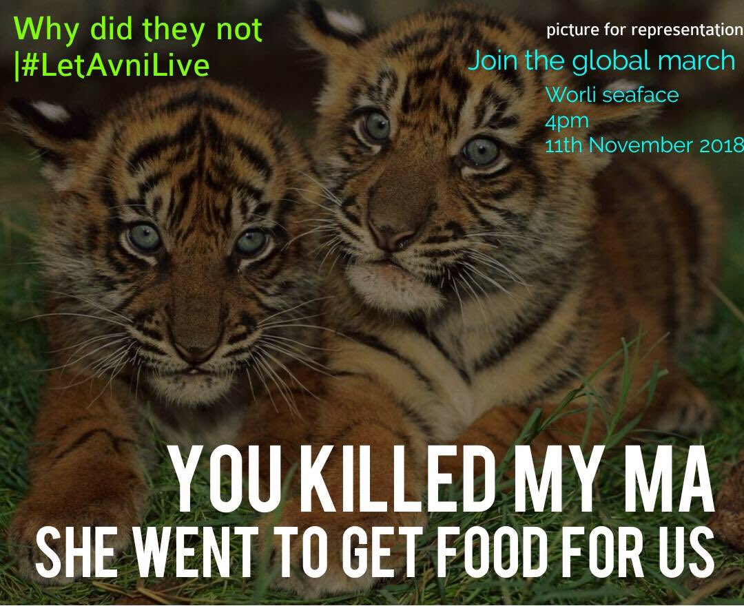 rajbansal9's tweet photo. I support #letavnilive #saveatiger #Tiger https://t.co/QkgvRoM8hi