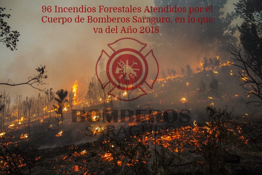 Trabajo realizado de enero-octubre 2018, por el personal de Bomberos Saraguro 🚒 @ECU911Loja #Saraguro <a href="/BomberosIIIZona/">Bomberos III Zona</a> <a href="/BomberosLoja/">Jefatura Provincial Bomberos Loja</a> #YoAmoMisBosques #YoCuidoLosBosques <a href="/gonpabl/">PABLO</a>