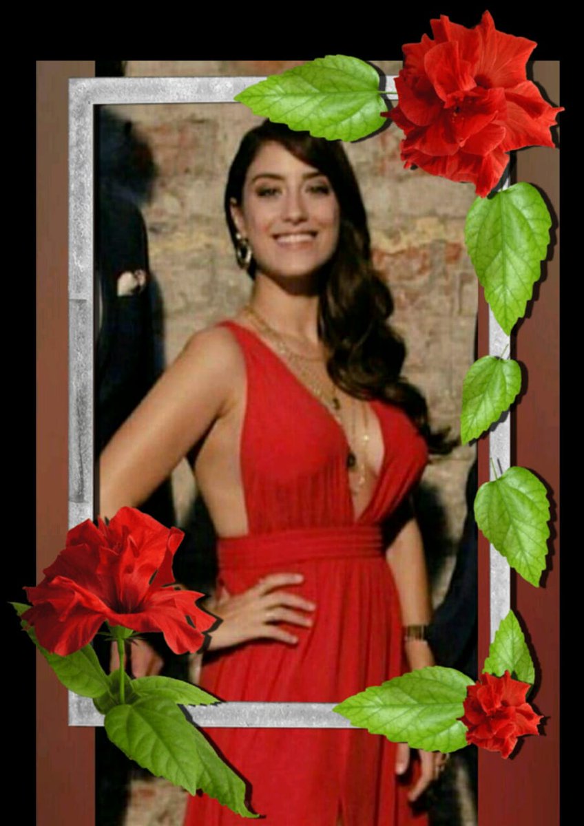 Teresaisabela1's tweet photo. Challenger 13 ..vestidos./ elegante..#FilizElibol #BizimHikaye @FOXTurkiye #HazalKaya ⭐ https://t.co/fc9VzR0MzN