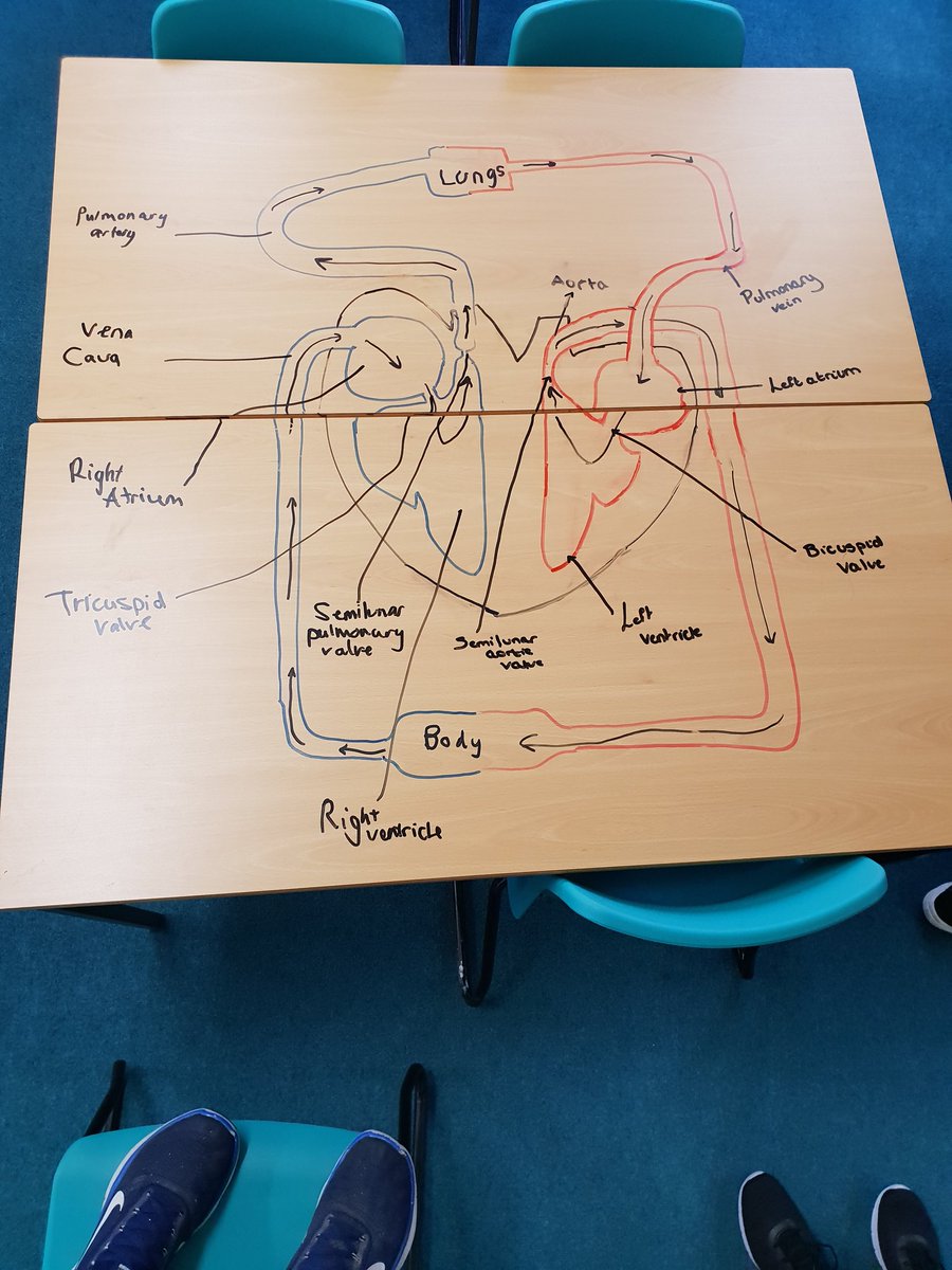 MrTraylorPE's tweet image. Excellent work from the Cambridge Technical group working on LO3.1 
#CambridgeTech #6thForm