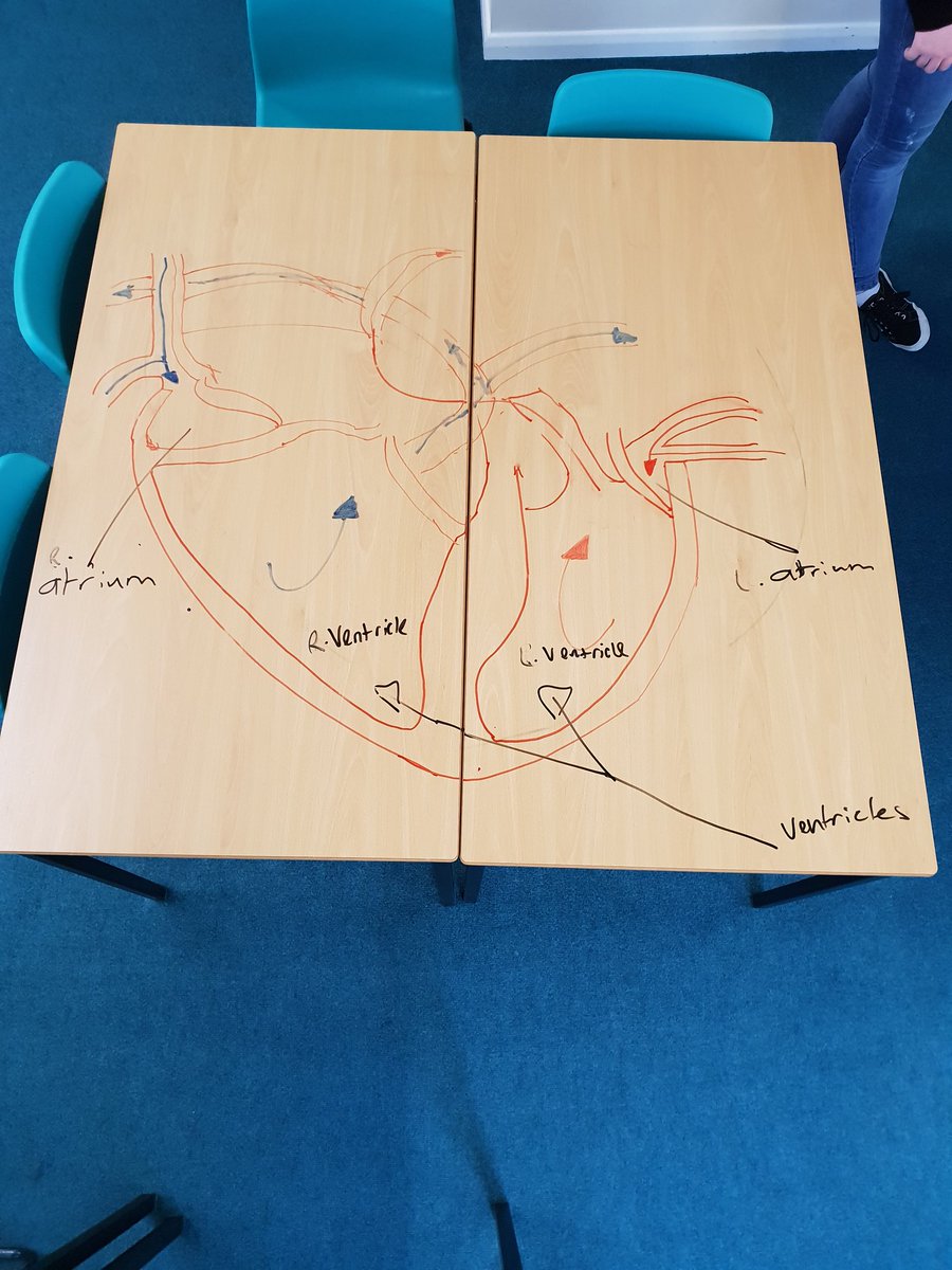 MrTraylorPE's tweet image. Excellent work from the Cambridge Technical group working on LO3.1 
#CambridgeTech #6thForm