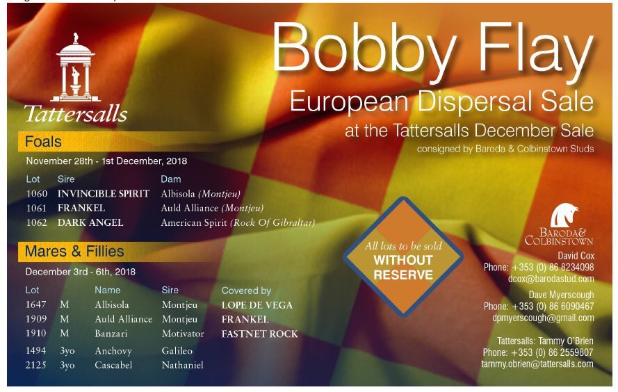 Looking forward to working with @bflay @barryweisbord & team on the European stock #dispersal in @tattersalls1766 inc selling Auld Alliance and all without reserve ##barodacolbinstownconsigning