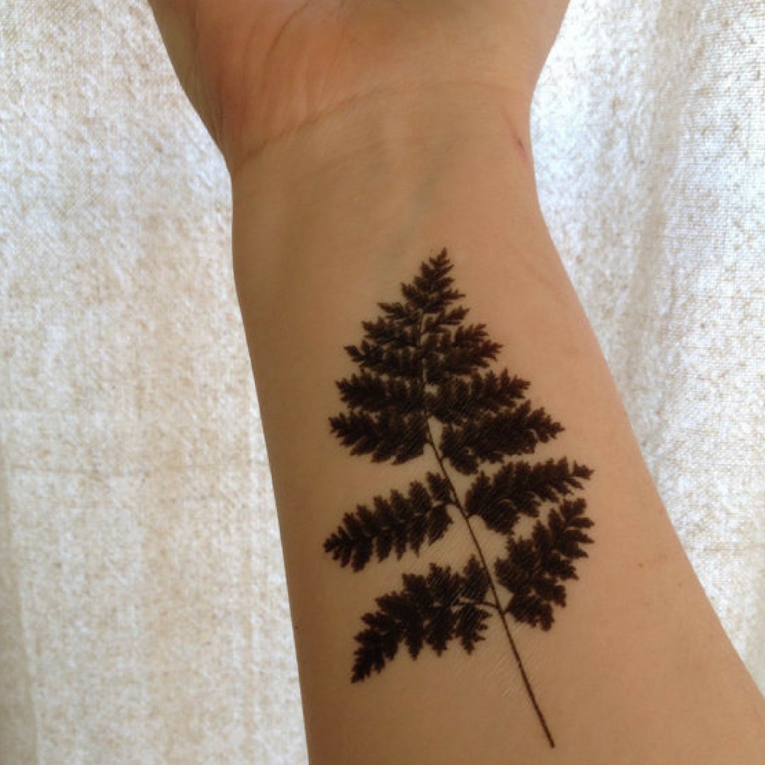 TheFickleTattoo's tweet photo. "Fernetic" - Vintage Fern Temporary Tattoo --> Click link in bio 🐙🌿☠️🌹🗝🔮 @TheFickleTattoo #temporarytattoo #temporarytattoos #tattooideas #tattoos #vintagetattoos #victorian #fern #botanicaltattoo https://t.co/gUCeVE4XU8