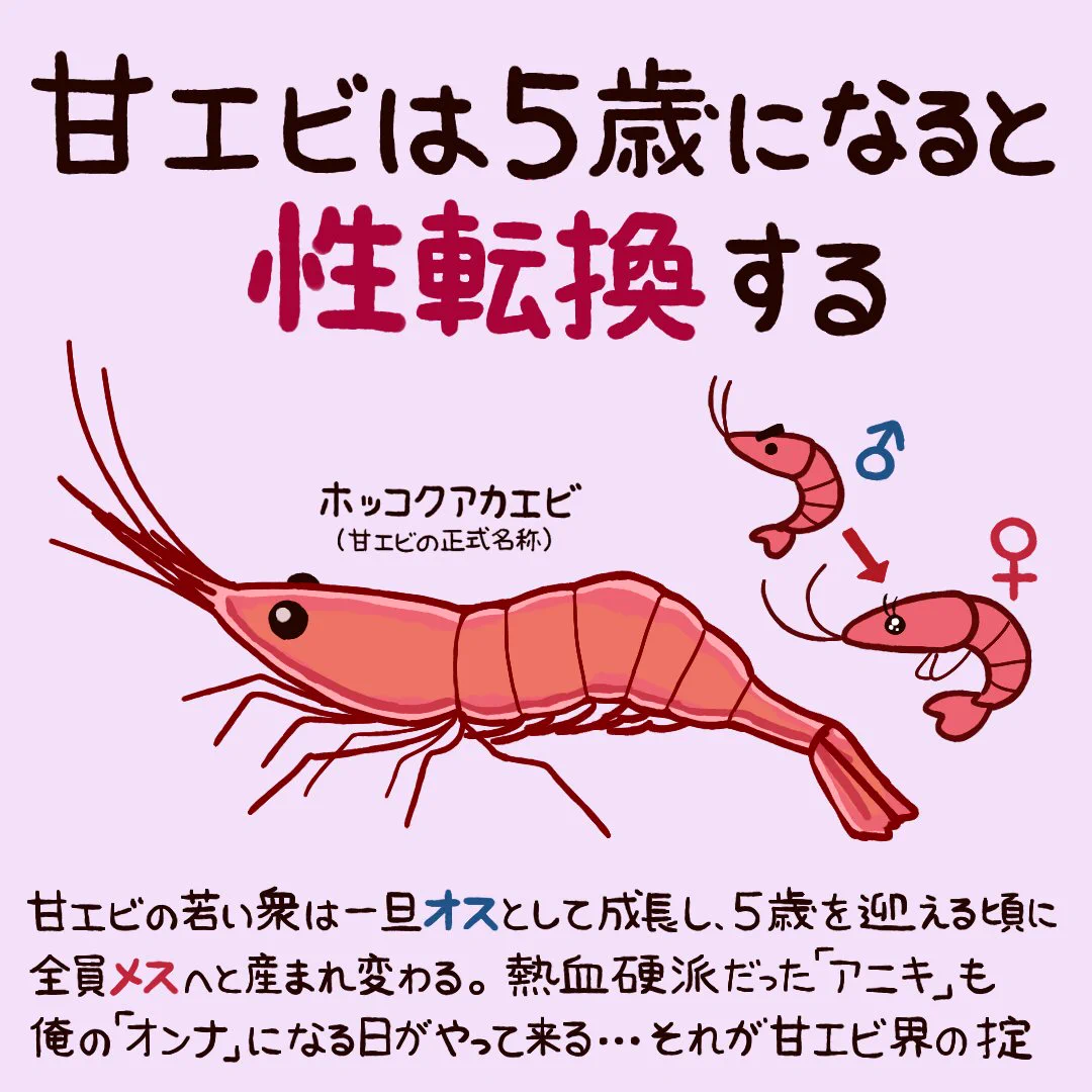性転換する動物がいた！www面白い動物豆知識！