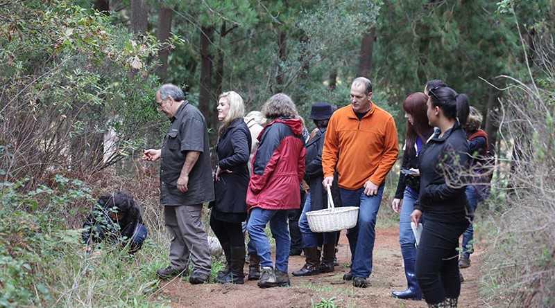 Foraging Excursions with African Relish. Learn to forage in the Karoo and cook with wild ingredients.bit.ly/2DbbI76#karoof… #montdorhotels