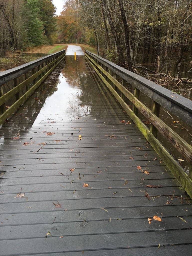 gottahavajava's tweet photo. Ran on #Neuserivertrail, river was high and could see past overwash in certain spots @greenwayraleigh https://t.co/sfCmhXmTeg
