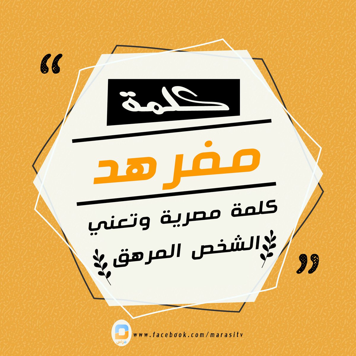 Marasicul's tweet photo. كلمة #مصرية وتعني الشخص المرهق جدااا 

#مصر #عمان #منوعات #marasitv #مراس  #القوات_وفولورز_الاحد #السعوديه  #الامارات #دبي #لهجات #عرب #لغويات #لغة #كلمة #كلمات #الكويت #تونس #العراق #السعودية #المجانين_وشبرقه_الفولورز #صباح_الخميس https://t.co/AkTQs46tnV