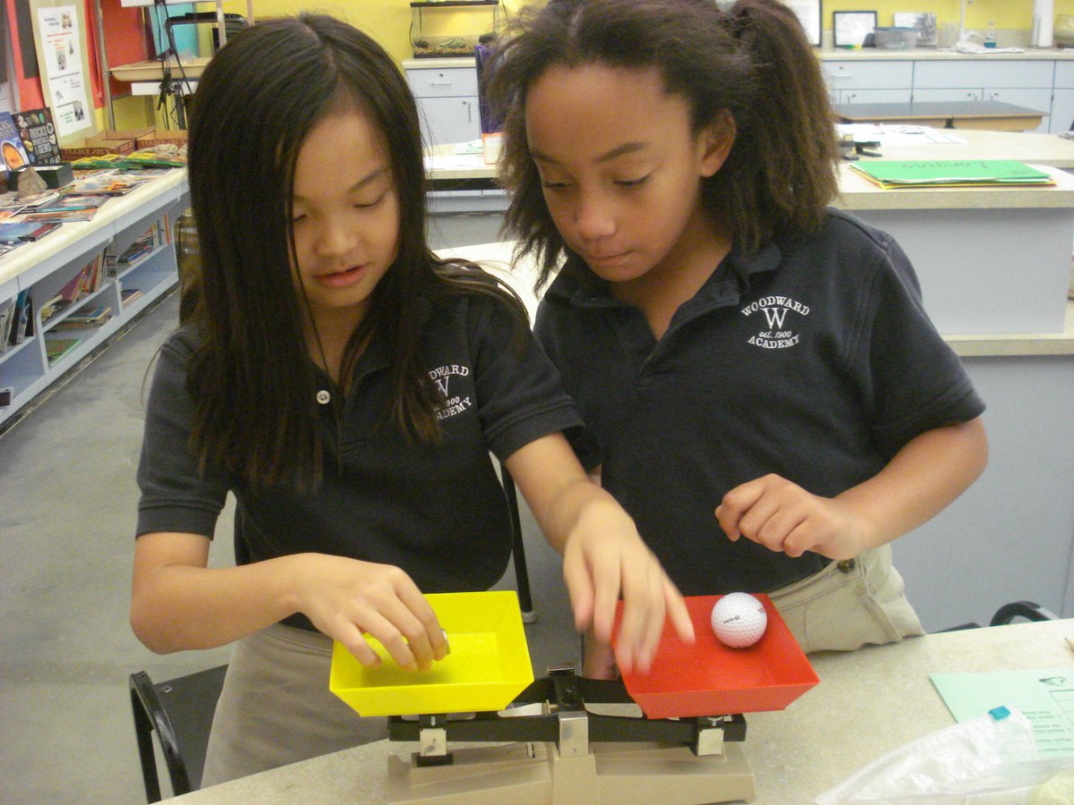 David Rogie tweet media