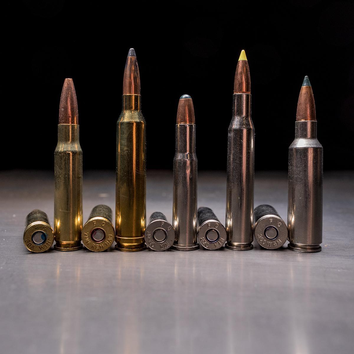 Answer (from left to right): 308 Win, 7mm Rem Mag, 30-30 Win, 270 Win, 300 ...