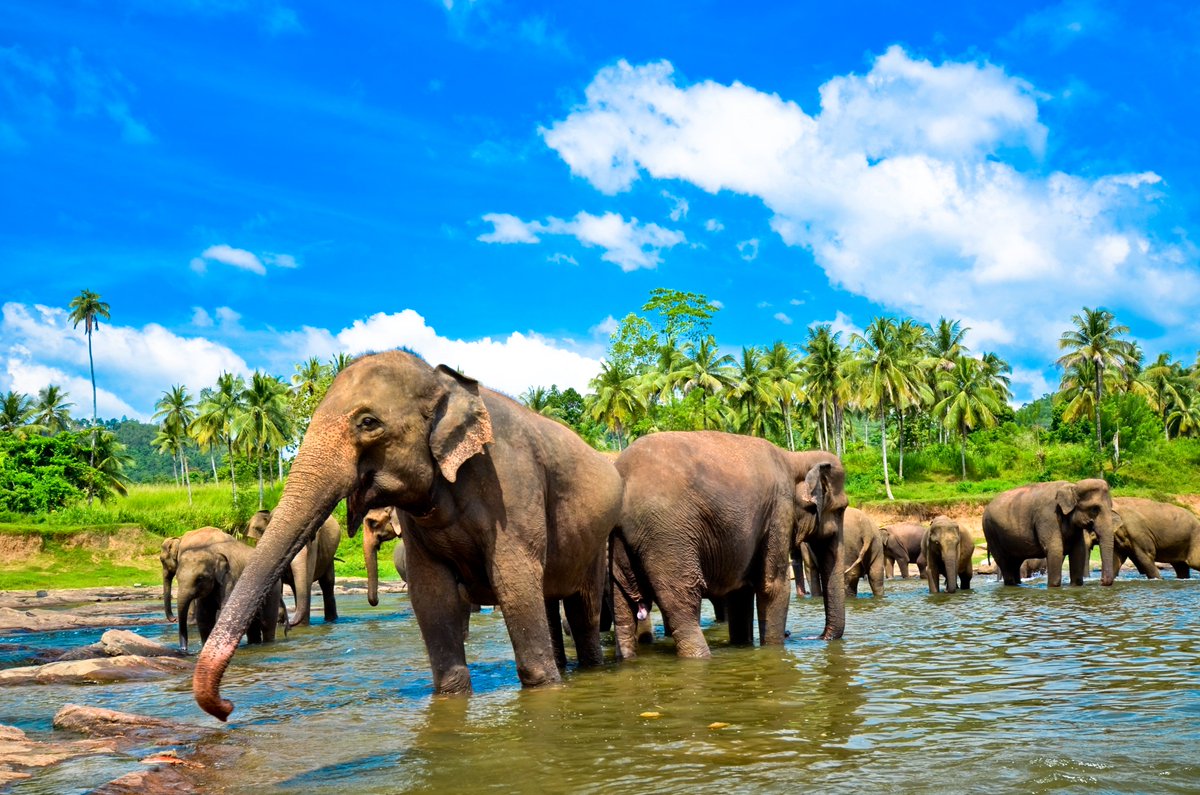 WaterstoneM's tweet photo. We could not be more pleased to welcome @Sita_India as a new member! The most awarded #travelcompany in #India &amp; the subcontinent's biggest producer of luxury room nights, Sita has 55+ yrs experience &amp; excels in offering tailor-made travel to India, #Nepal, #Bhutan &amp; #SriLanka 🌟 https://t.co/Gb04fYjJfB