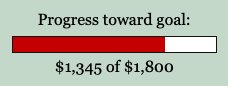 Thanks to everyone who's donated so far!  In only 15 days, we've gotten really close to reaching our goal.  Please, donate now and help us end this fundraiser.  Consider a monthly donation of any size to help secure our funding into the future. 
indybay.org/donate