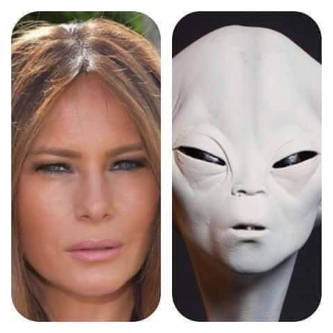 Stop_Trump20's tweet image. We have alien living in the White House 😂😂😂