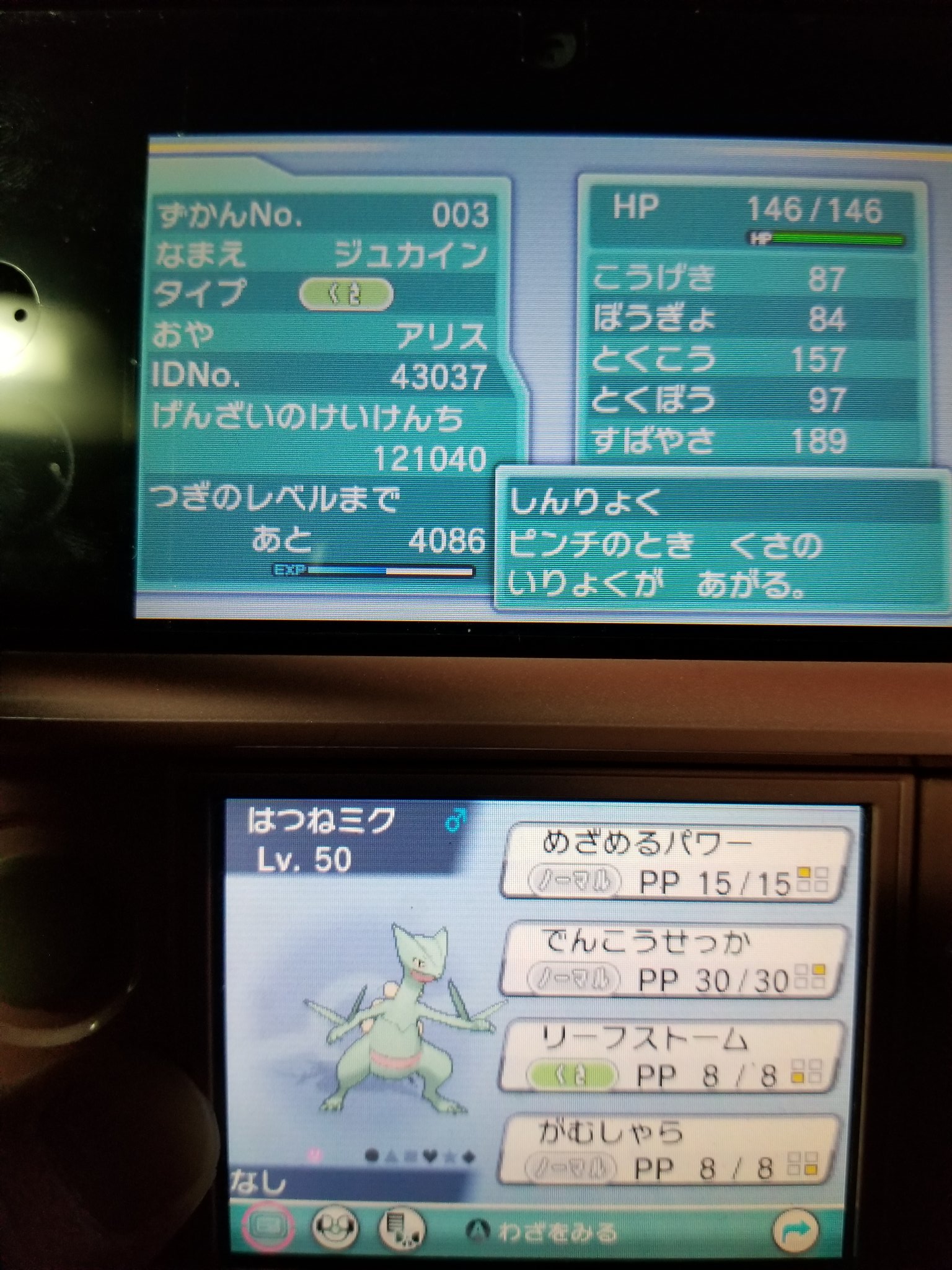 こだわりおマンムー Babel34r Twitter