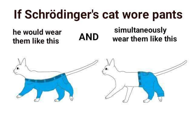 If Schrodinger's cat wore pants, he would wear them like this (belt go...