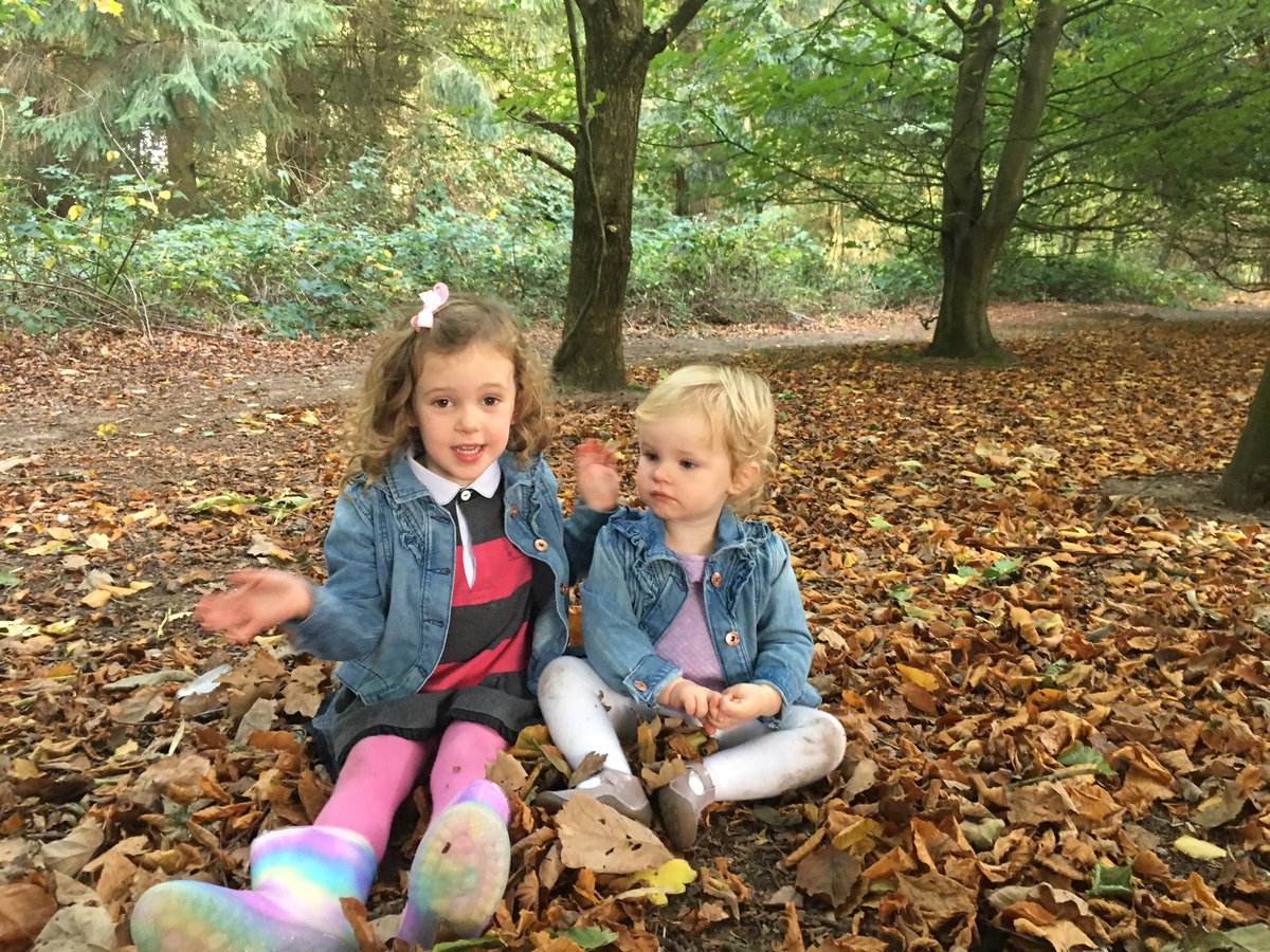 ktDonlan's tweet photo. A2  @PennyPlaydates High Elms is really my favourite but I also love the gruffalo woods. Coolings is always fun too! #frugalfunchat https://t.co/zI6Nf3Fn7K