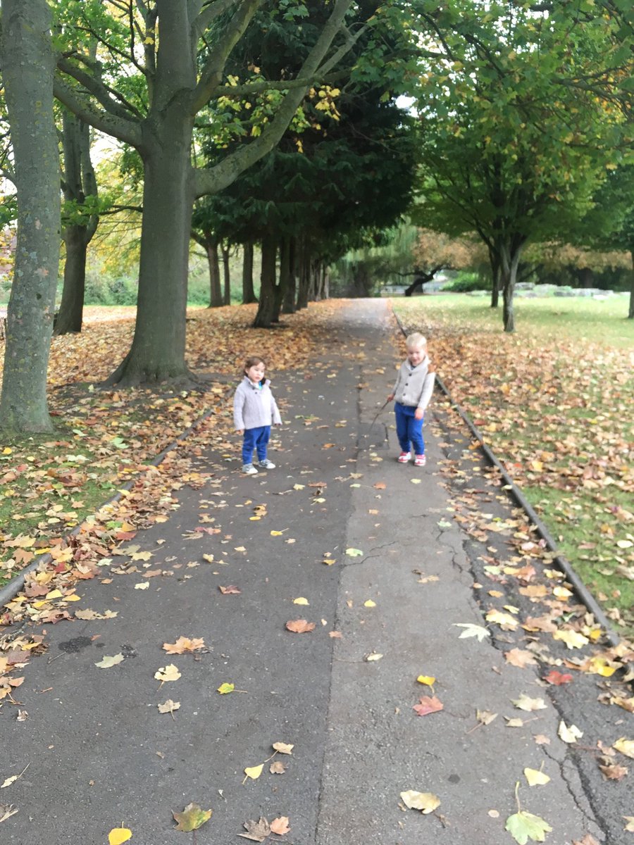 VickyBarrett118's tweet photo. A2 we like priory park as so open plus has play park, maze, geese (to chase) and ducks. Don’t forget your frozen peas to feed them! #frugalfunchat https://t.co/wgQZCL3smq