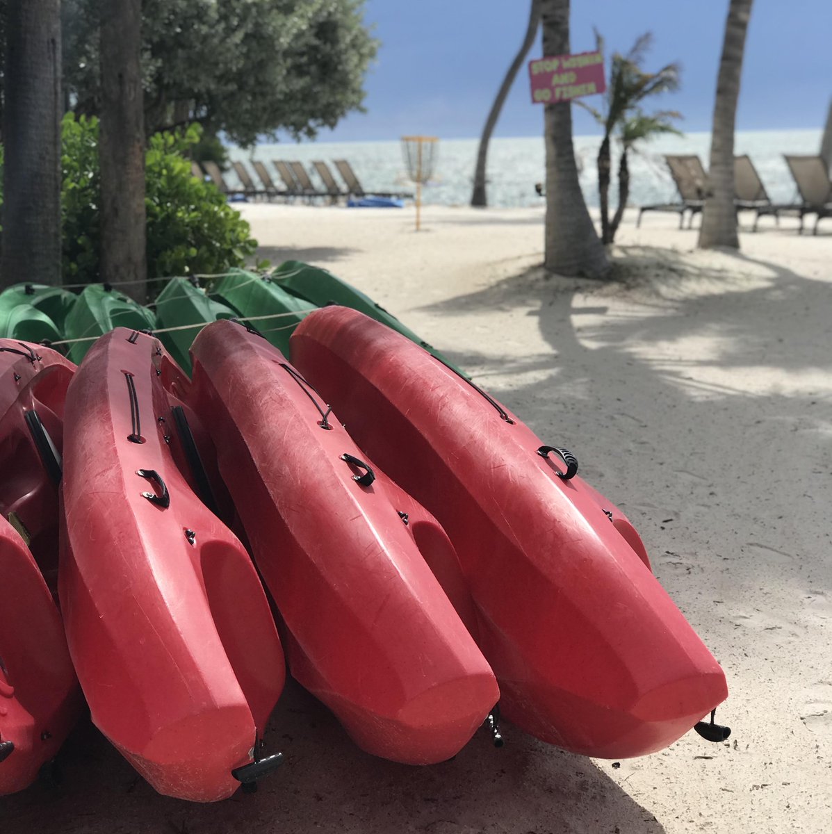 Ready to {sea} what's out there? #pcovemoments