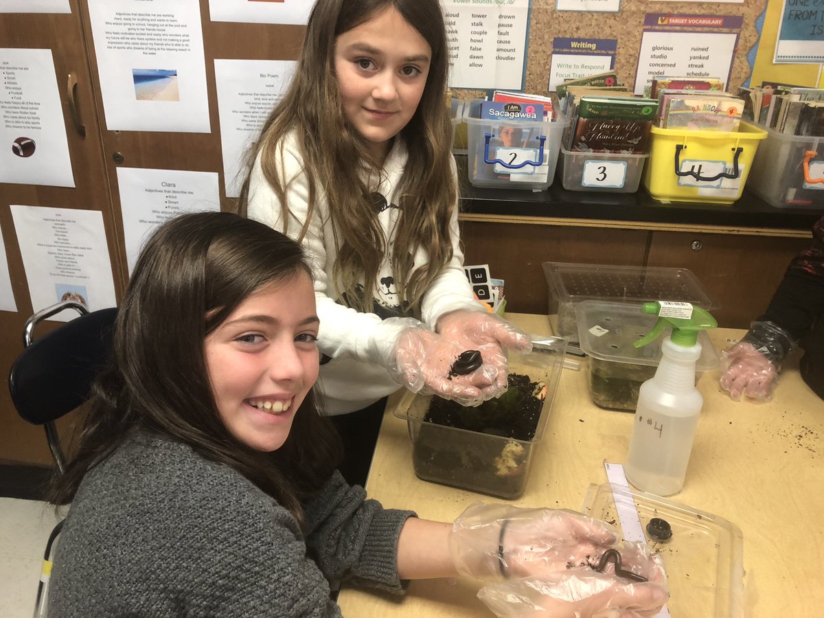 MrsKMangan's tweet photo. More fun with Millipedes...@WrightstownGr4 @BethFox_WES https://t.co/teRYiGTHrr