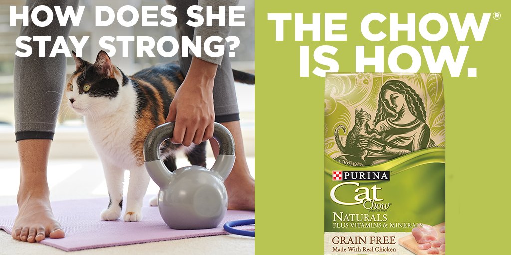 PurinaCatChow's tweet image. 💪 Keep your adult cat strong by giving her 100% complete, natural nutrition without the grains. Learn more about Naturals Grain Free plus Vitamins &amp;amp; Minerals: puri.na/2T0HzvH