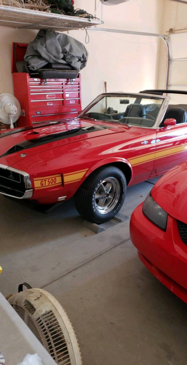 Rare GT500 🐍 

Photo credit: <a href="/TimDunn19874372/">TimDunn</a>