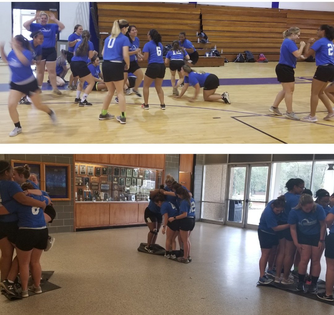 SAU Softball tweet media