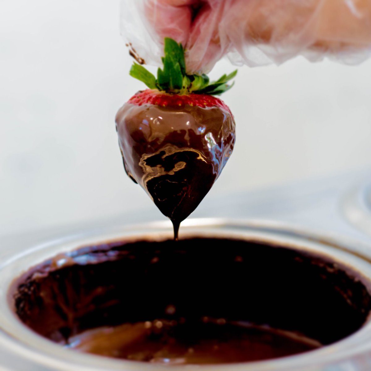 KC Santa Monica tweet media