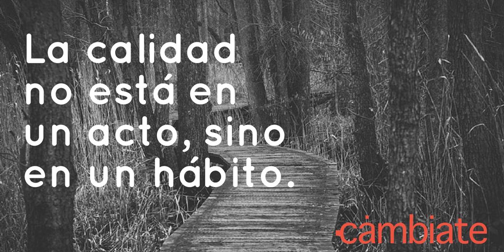 LeocadioMartin's tweet photo. La calidad no se encuentra en algo que haces ocasionalmente. La define la consistencia de tus acciones, a lo largo del tiempo. 
#BuenosDias https://t.co/B6Qi0NarBJ