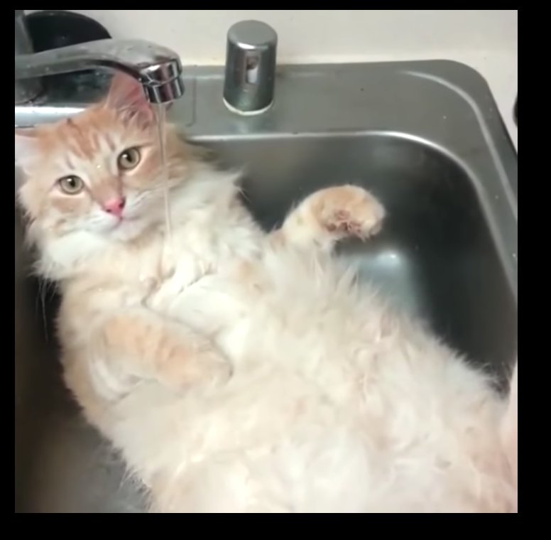 Squeebles tweet media