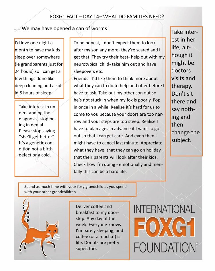 IFF FOXG1 (@iff_foxg1) on Twitter photo 