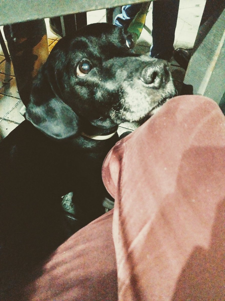 rocionagar's tweet photo. Sobrinos a los que te comerías con papas 😍 #PumbaRules #vecinis https://t.co/cq4QUeEo5S