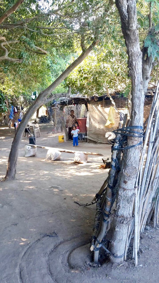 UES_MX's tweet photo. Demostrando sus valores y apoyo a las familias en situación vulnerable, alumnos de UES Navojoa coordinados por la Mtra. Myrna Padilla Oliva reunieron víveres y elaboraron despensas que entregaron en comunidades de escasos recursos en Etchojoa y Huatabampo.
#ValoresUES https://t.co/6zKF4Nt8Q3