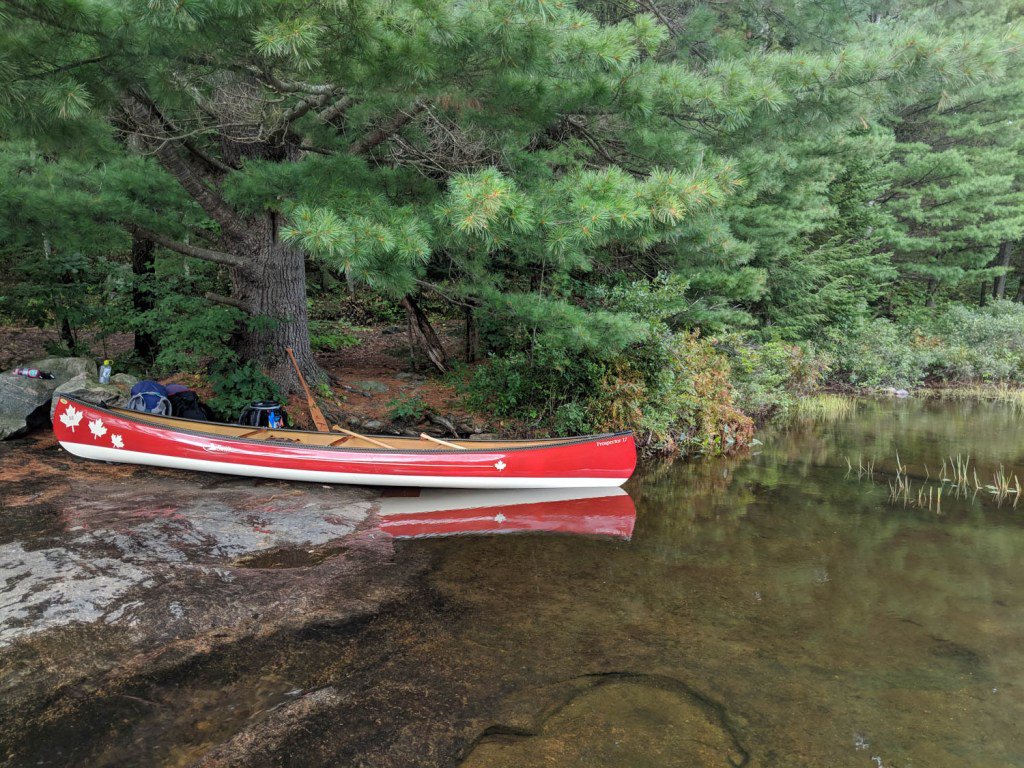 sue_squared's tweet photo. Wait... What?? I'm going to be 40? Part 2 #suesoutdoorcrew #camperchristina #swift #ahwt https://t.co/6bv4PMMdel https://t.co/HtfFODfQ23