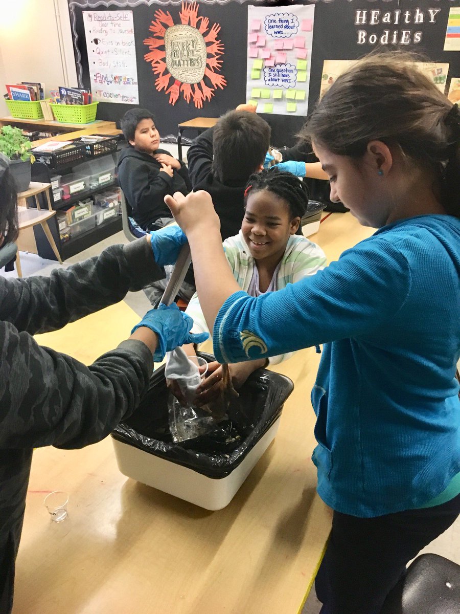 #science time! <a href="/DufferinSchool/">Dufferin School</a> students simulating the entire digestive system from beginning to end