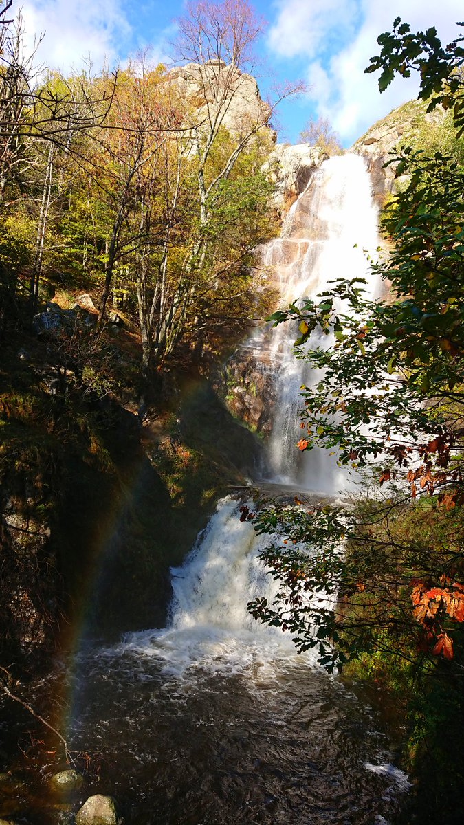 La naissance de Venus