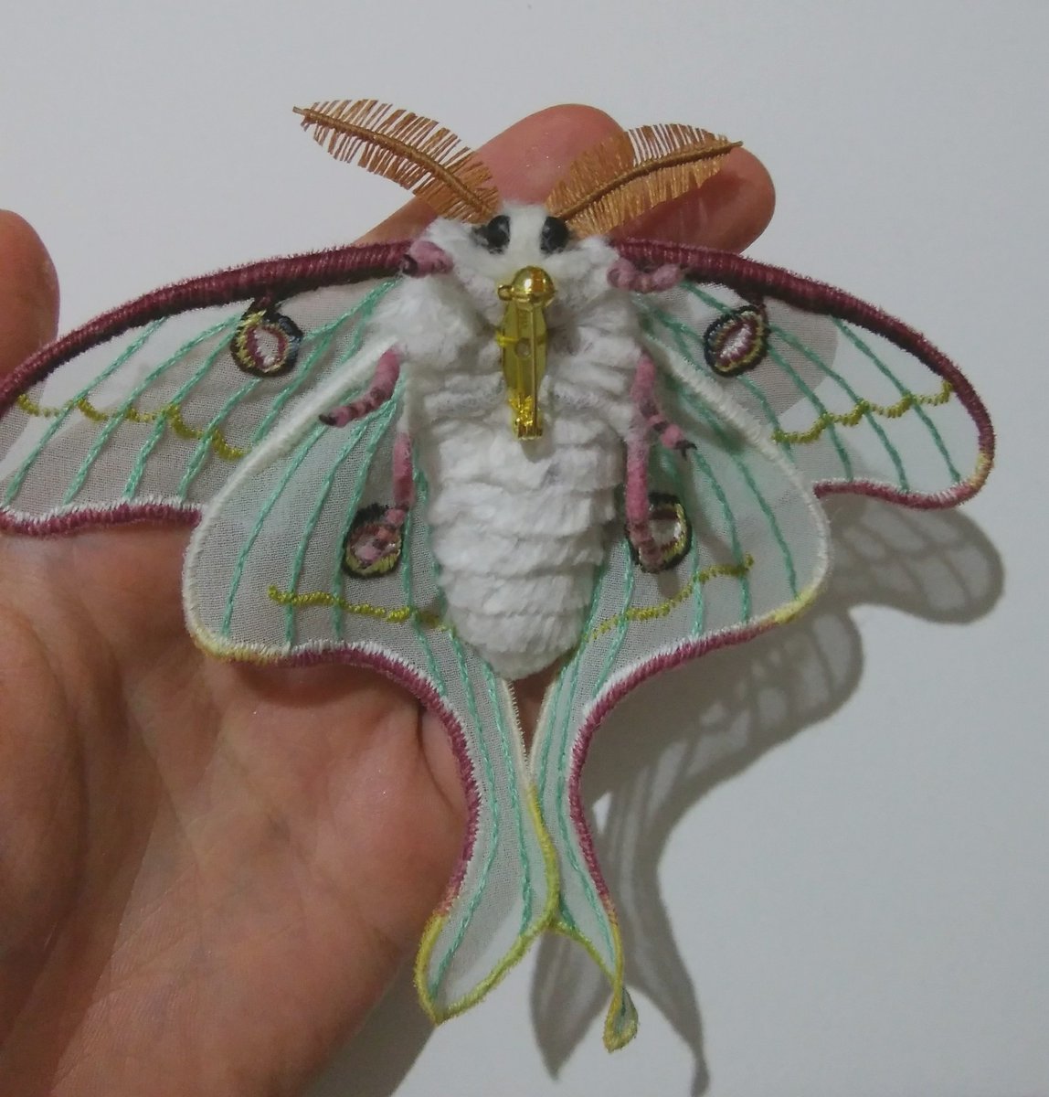 luna moth氏の蛾ブローチ（南米生息の方）。日本のオオミズアオさんに