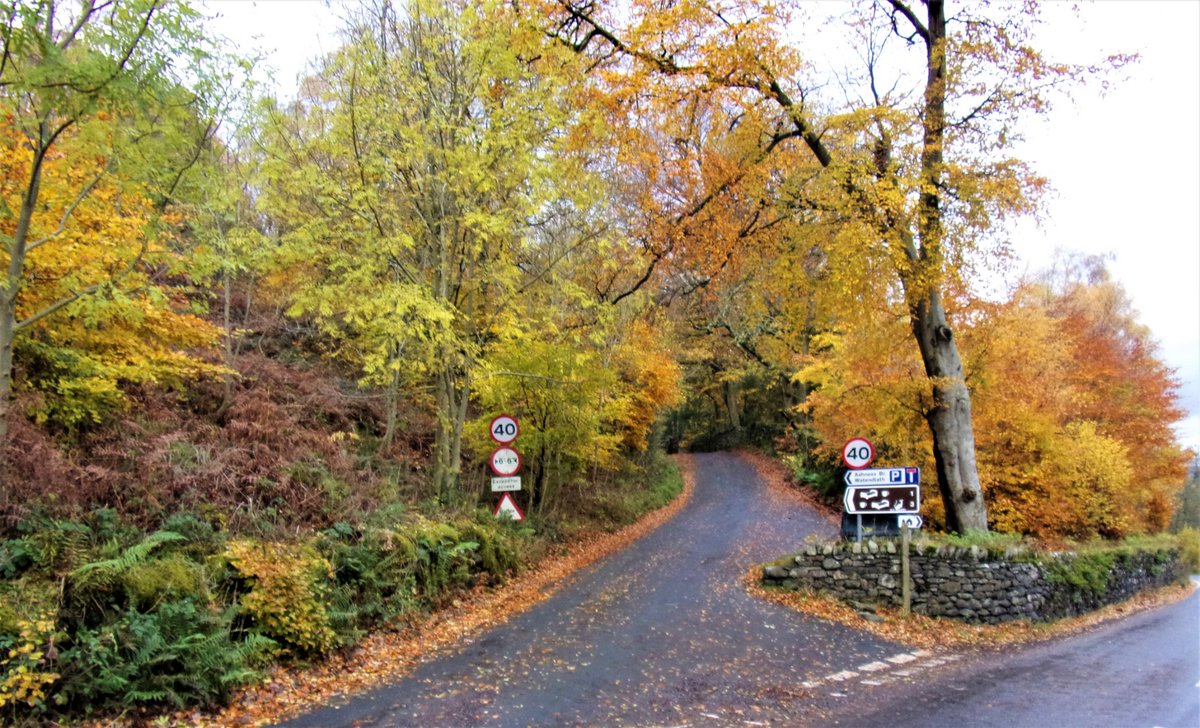 StanLeigh18's tweet photo. Second Part of a Derwentwater Autumn circuit -  #FriarsCrag to #Lodore
@glocky9 @keswickbootco @Wainwright_Pub @TMaryporters @MyFaveBench https://t.co/bdTo7OKnhL