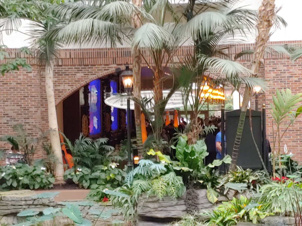 ASCRiderInsider's tweet photo. At the 2018 National Convention of The Arc. Heading to a Professional Development Seminar soon. Here are some pictures to share. @TheArcUS https://t.co/v2uYD2I6lH