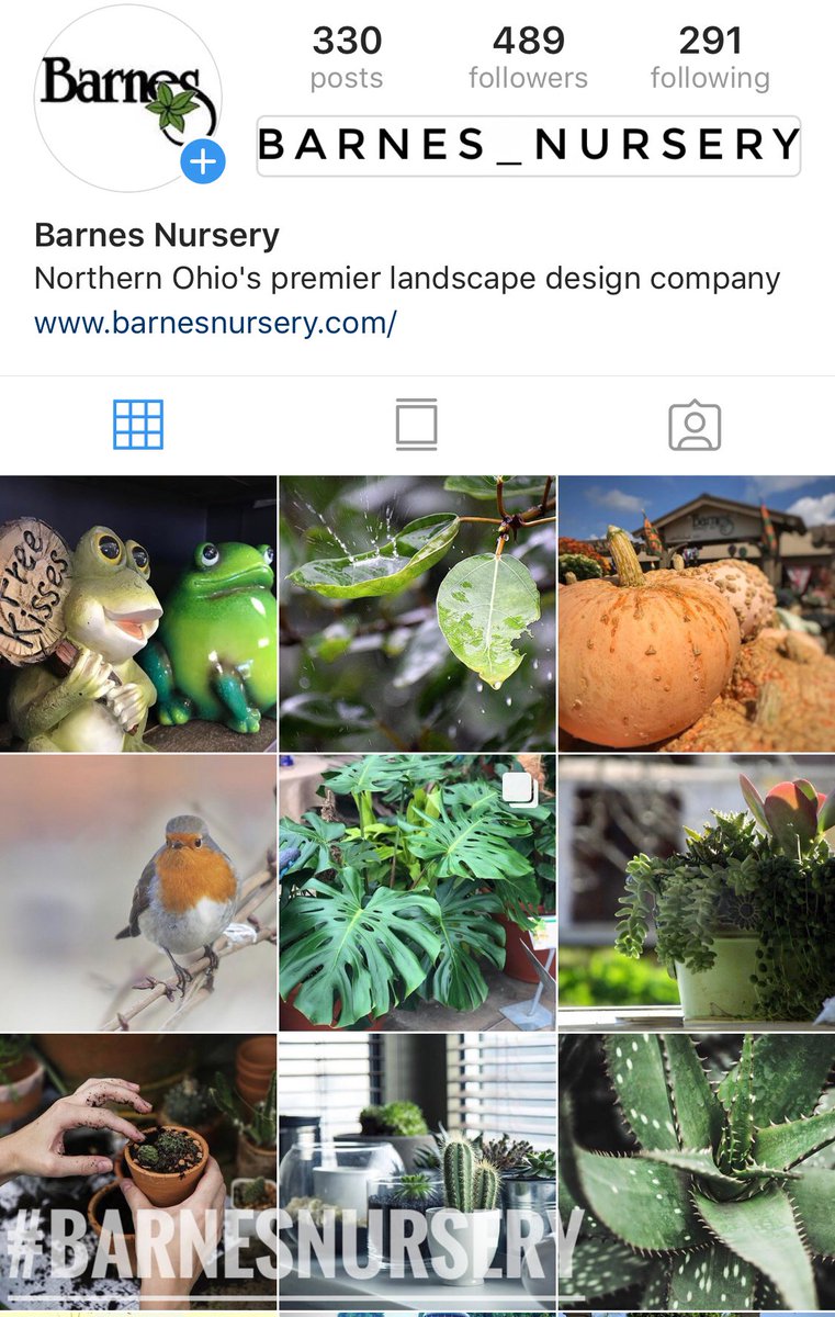 Barnes Nursery On Twitter Love Sharing Photos On Instagram