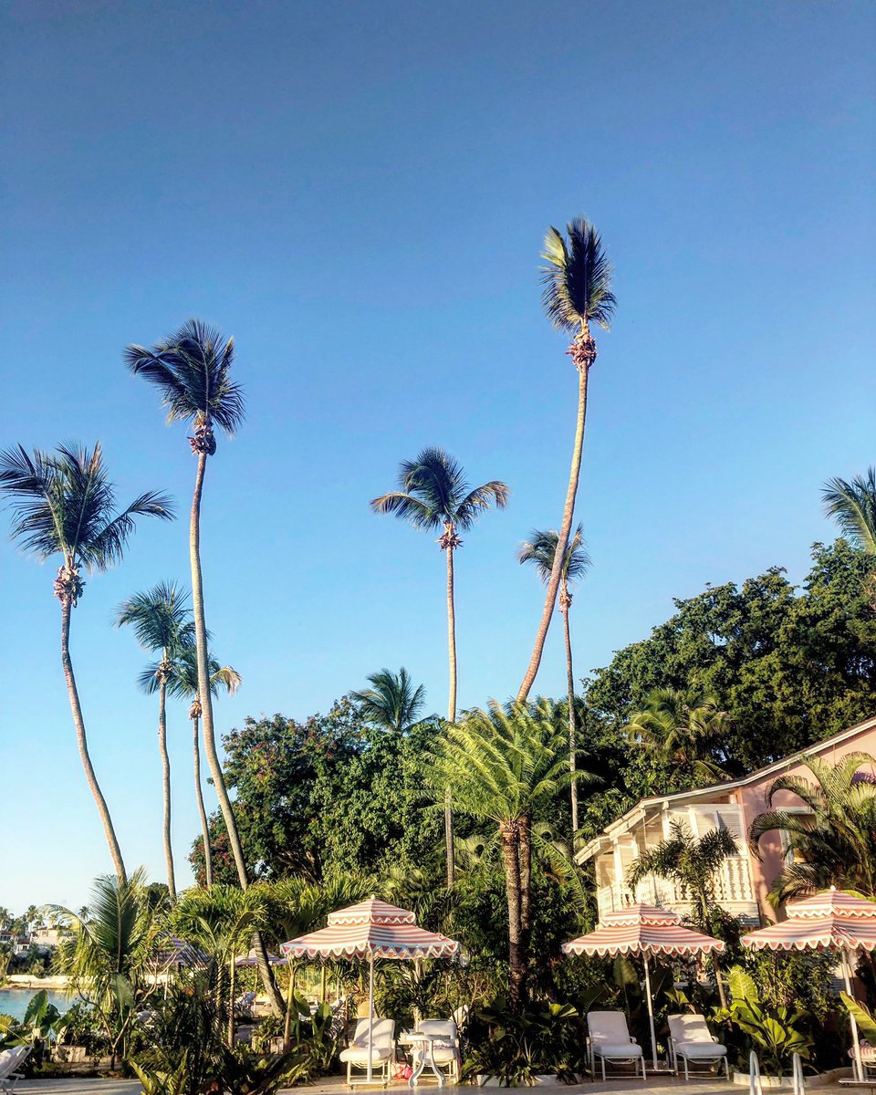 Lunch with a view #Paradise 
#CobblersCove #Barbados #LoveBarbados