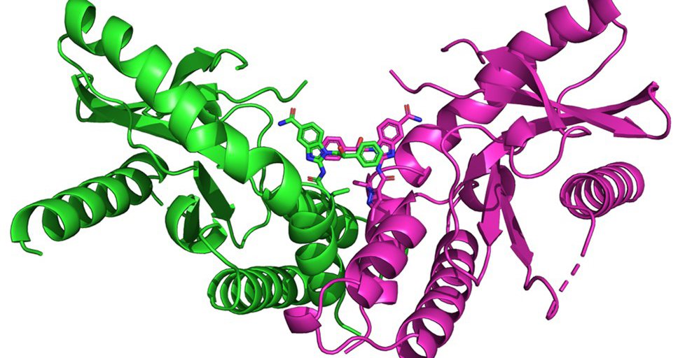 GSK's tweet photo. A new paper published by our scientists in @nature today reveals a new class of molecules that could potentially be used to treat some of the most common types of cancer: https://t.co/EWm2qlkA7l https://t.co/JkZJCz6DVG